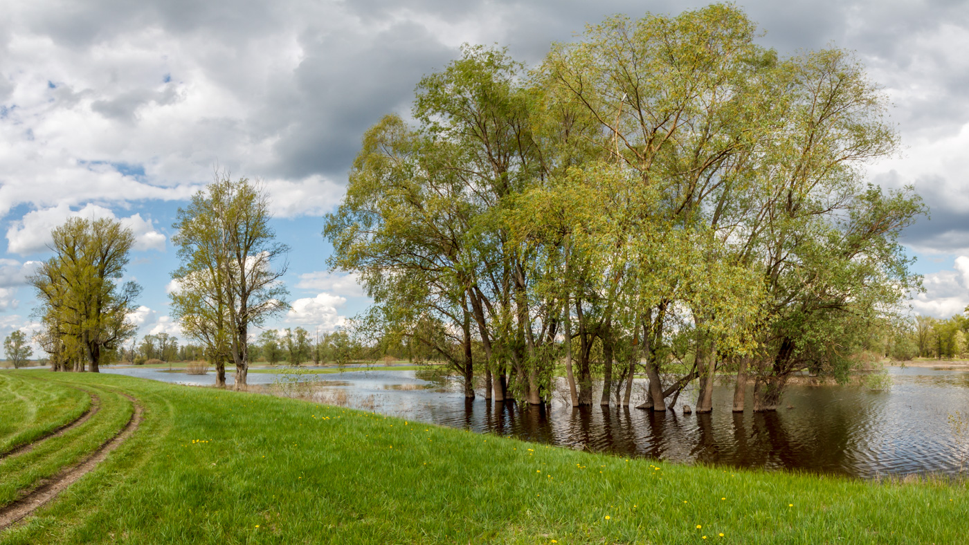 Spring flood