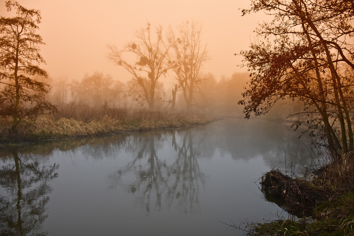 The eerie silence on the misty river