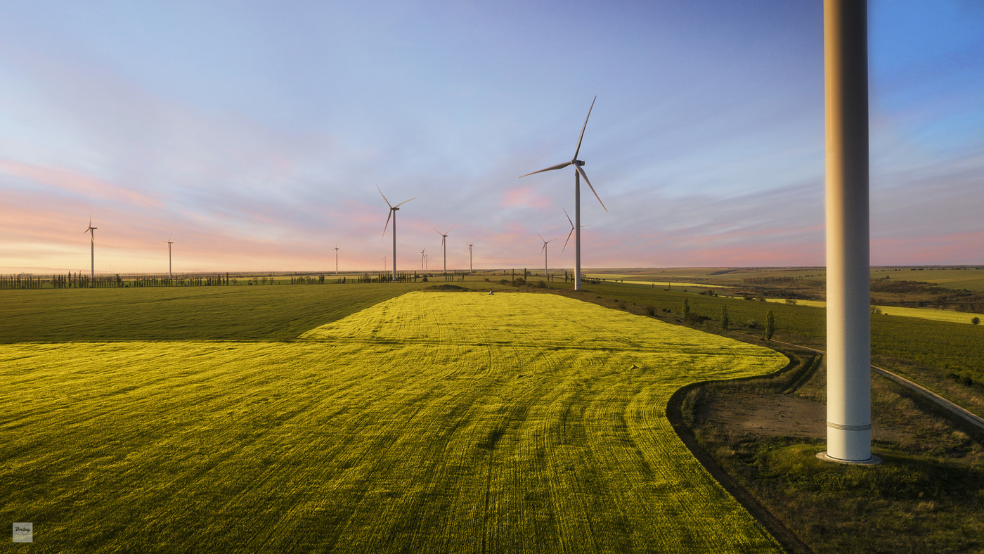 Curves and straight lines