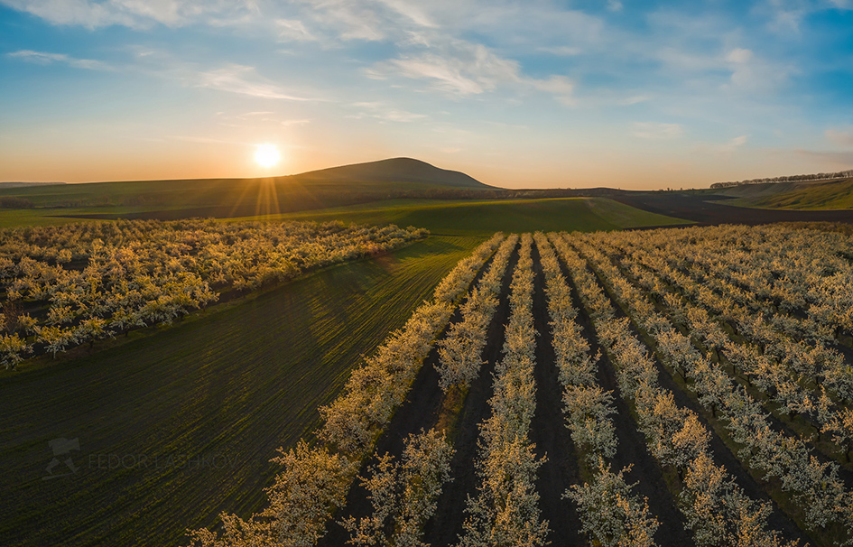 Gärten in voller Blüte