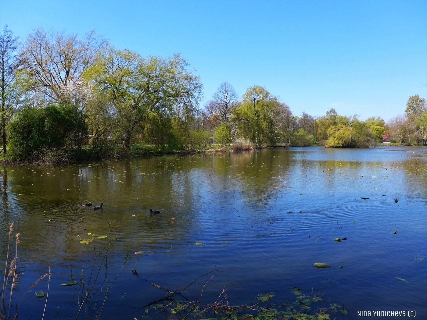Wilhelmsburger Inselpark Hamburg