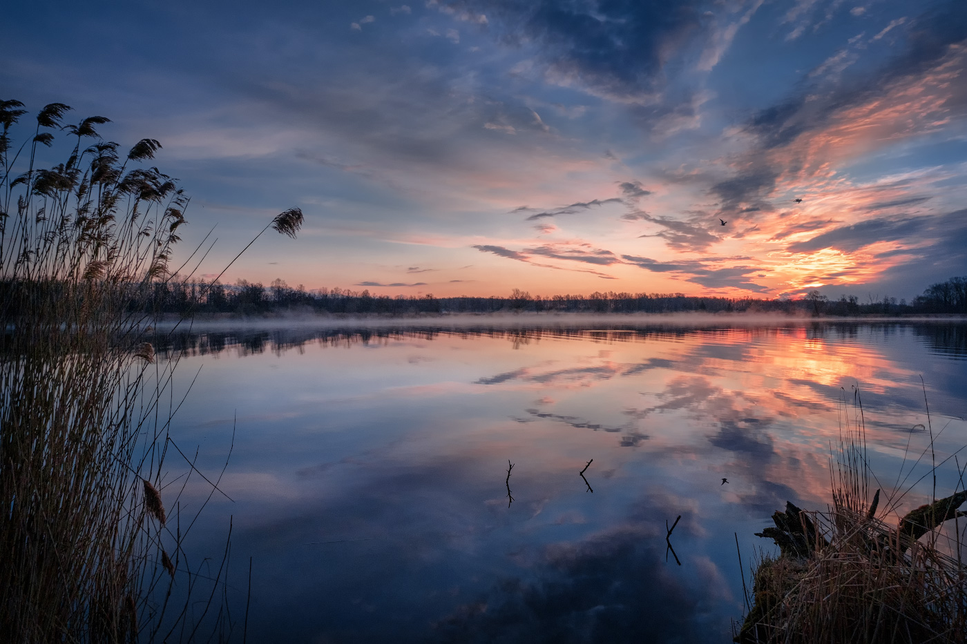 die Sonne ist im Begriff,