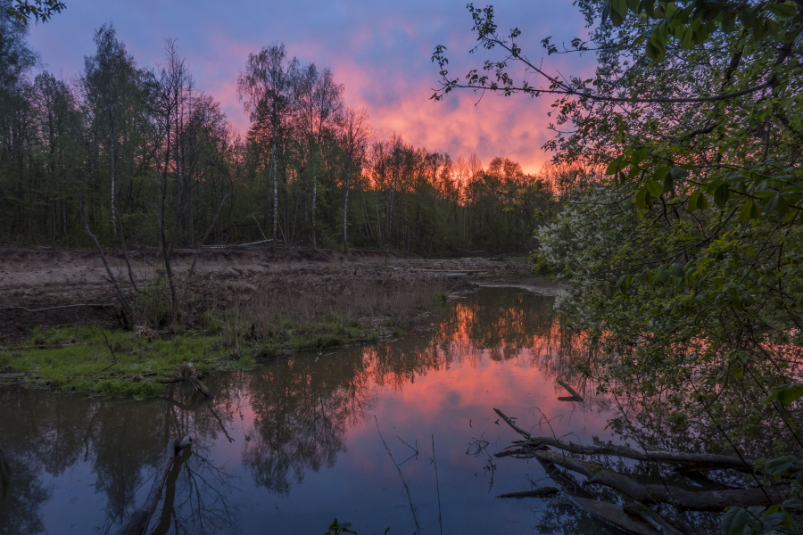 Blutige Sonnenuntergang