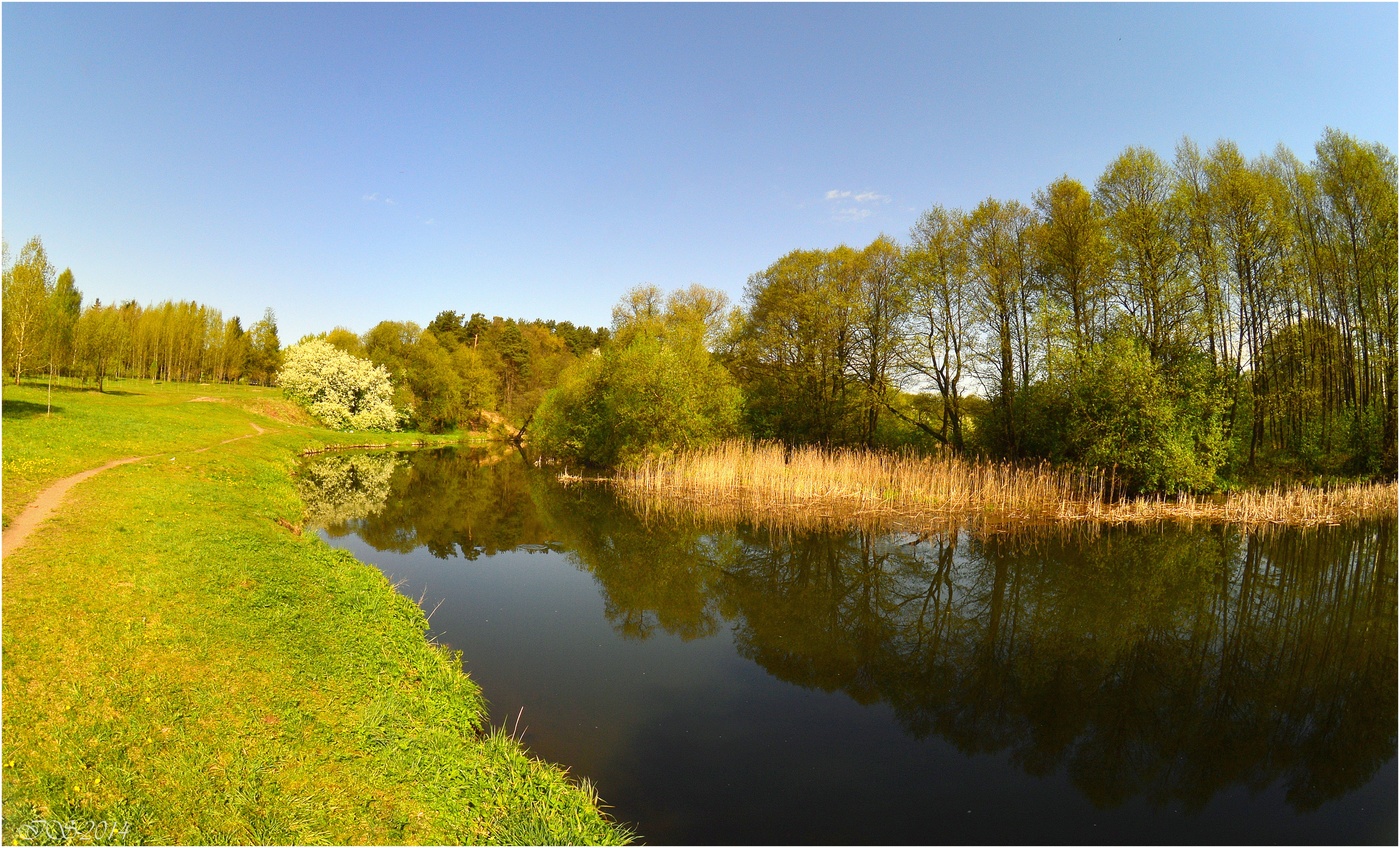 wenn die Kirschblüte