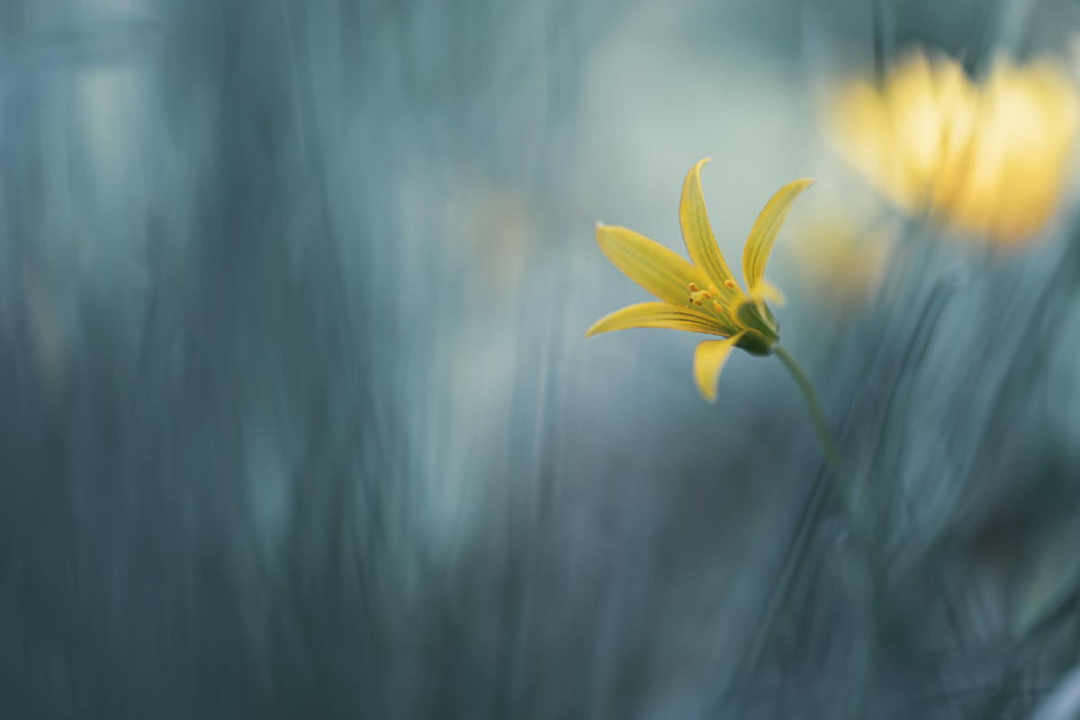 Spring vaudeville...