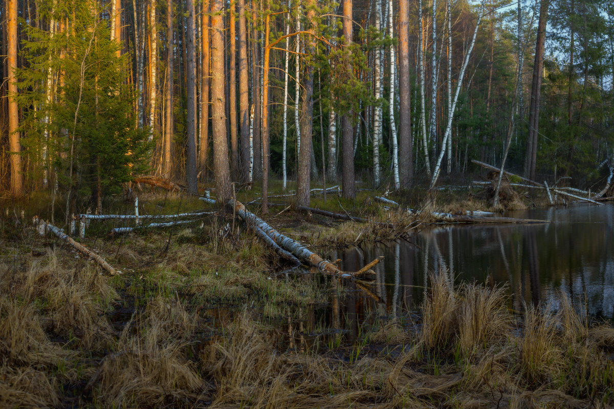 In den letzten Strahlen