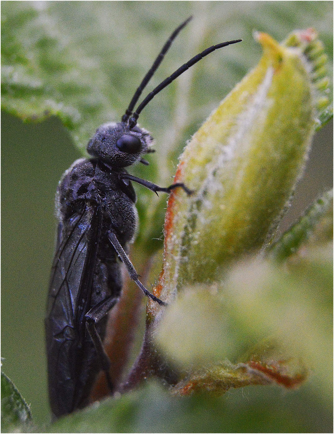Vor dem Zubettgehen.