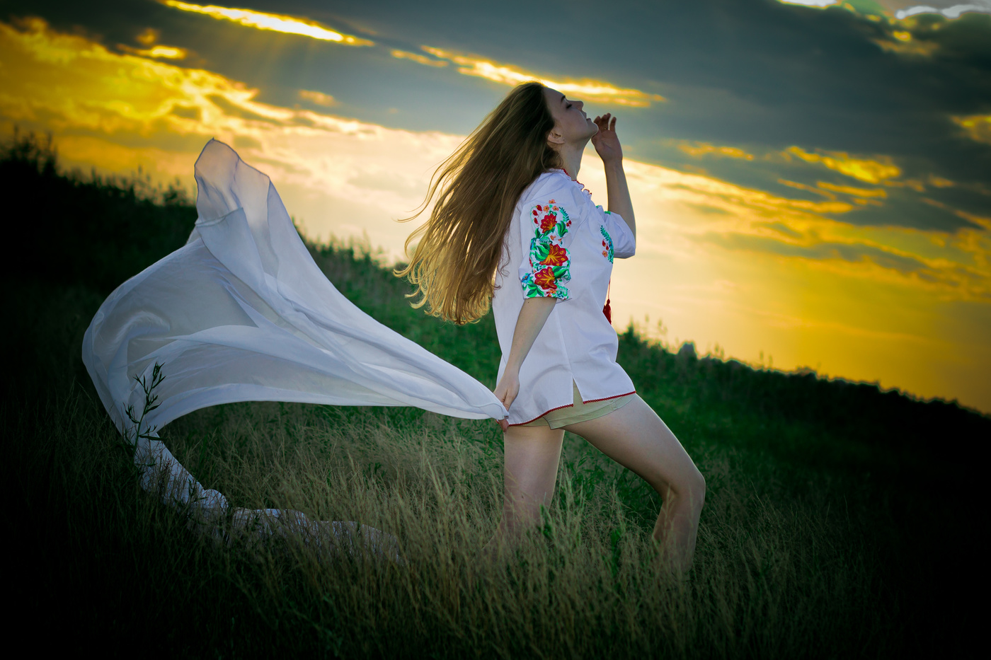 in den Bereichen ...