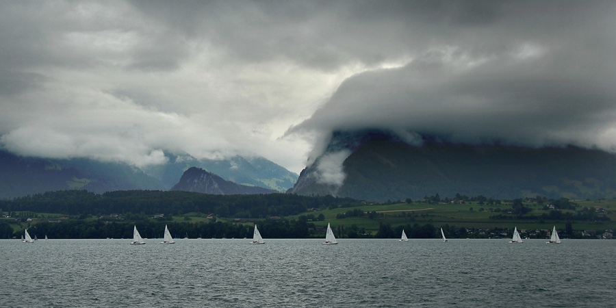 Regatta auf dem Thunersee