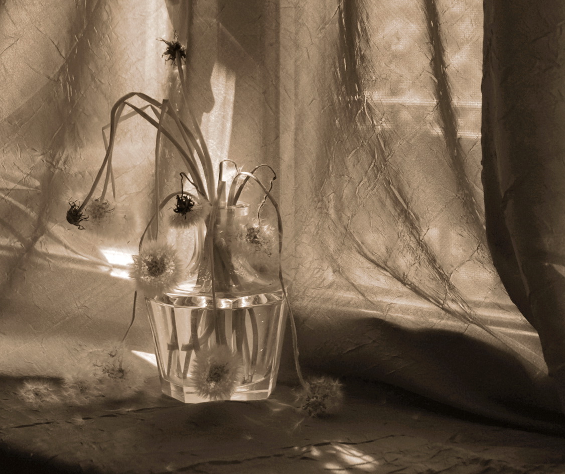 Die unerträgliche Leichtigkeit des Seins