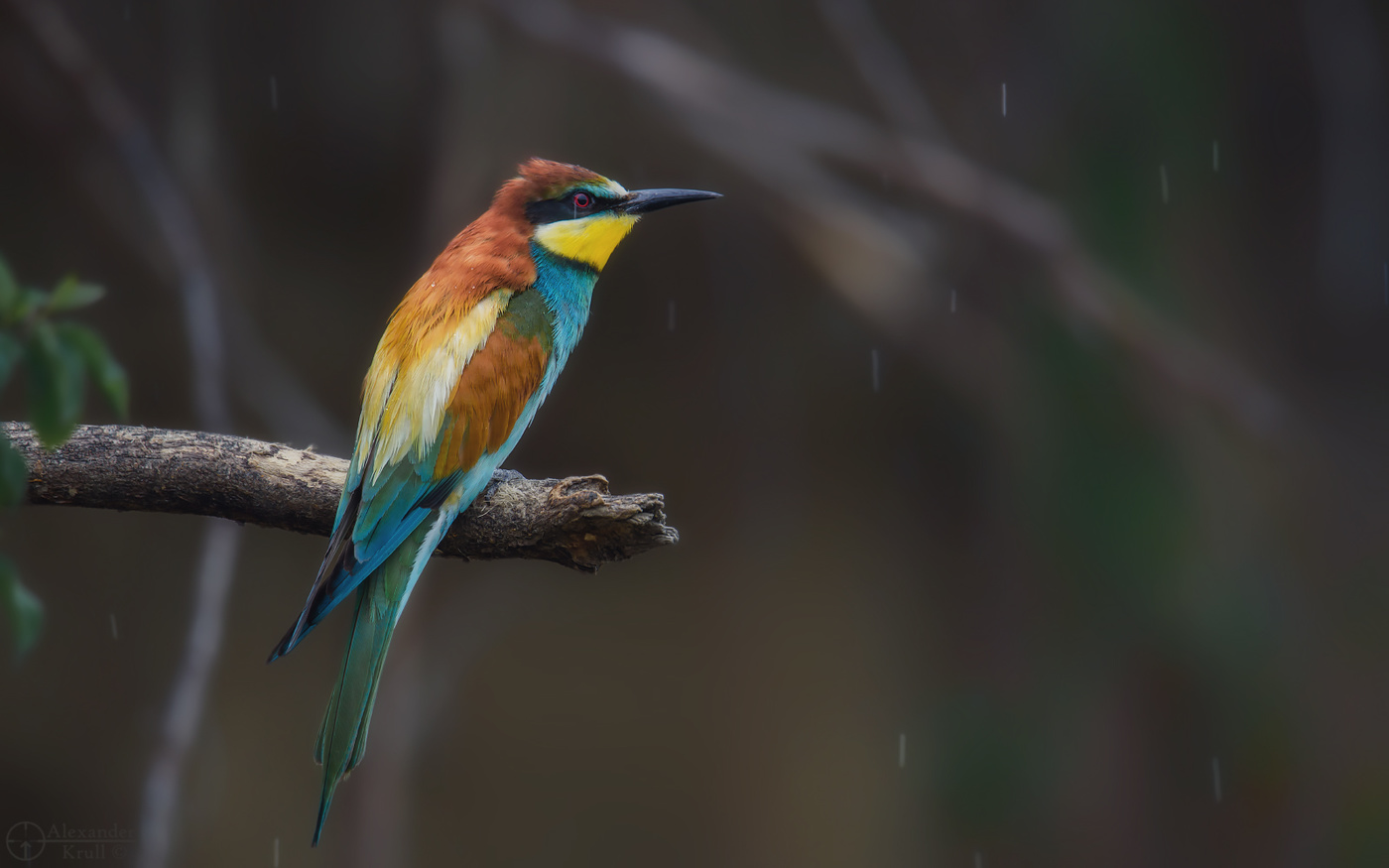 Verlassen des regen ...
