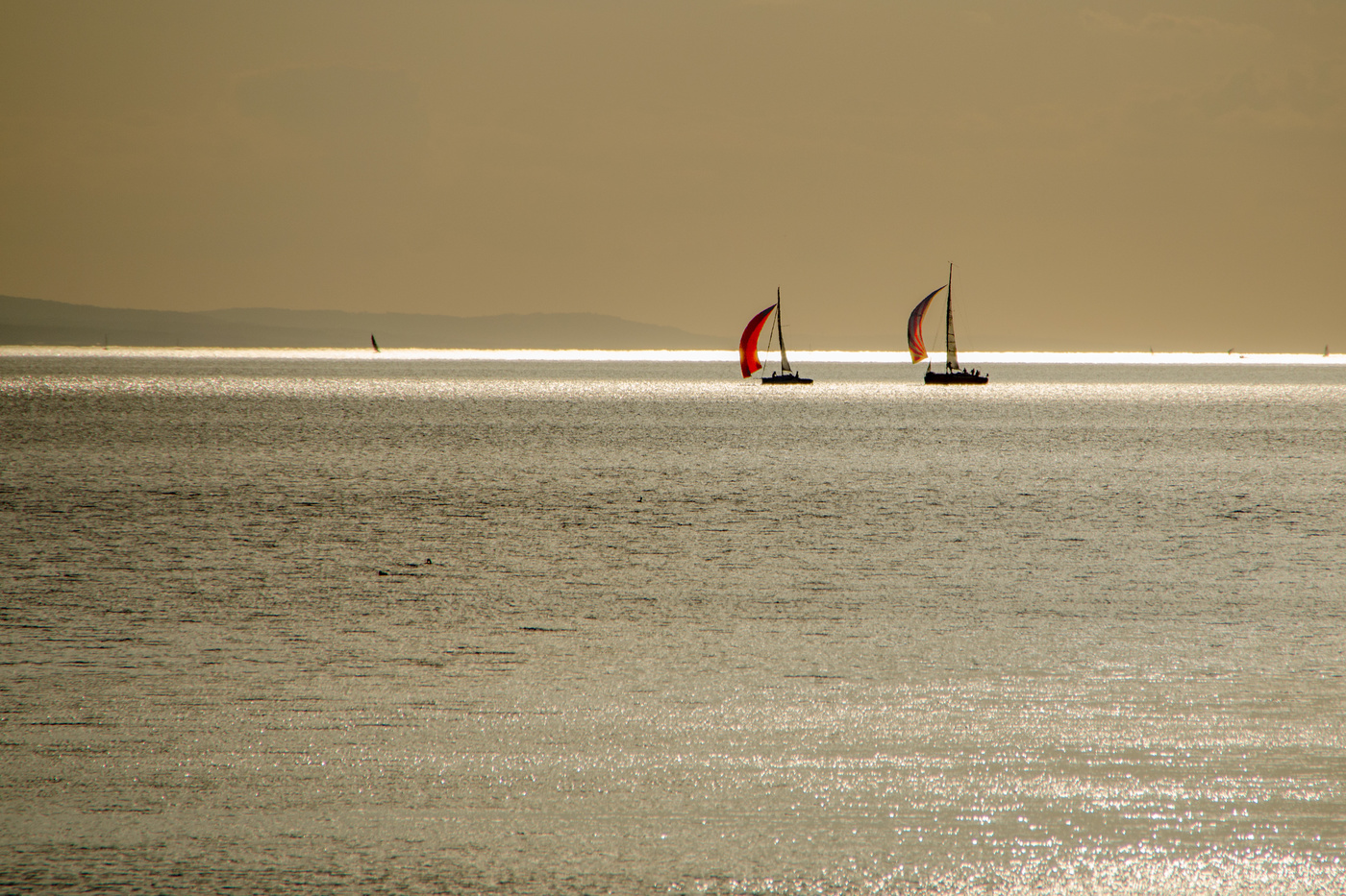 Der Goldene Bodensee