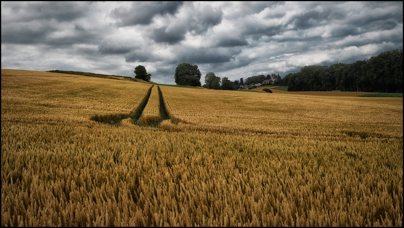 Unser täglich Brot.........