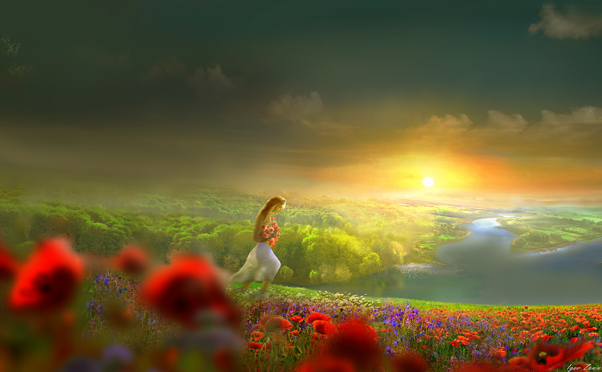 Poppy Sonnenuntergang