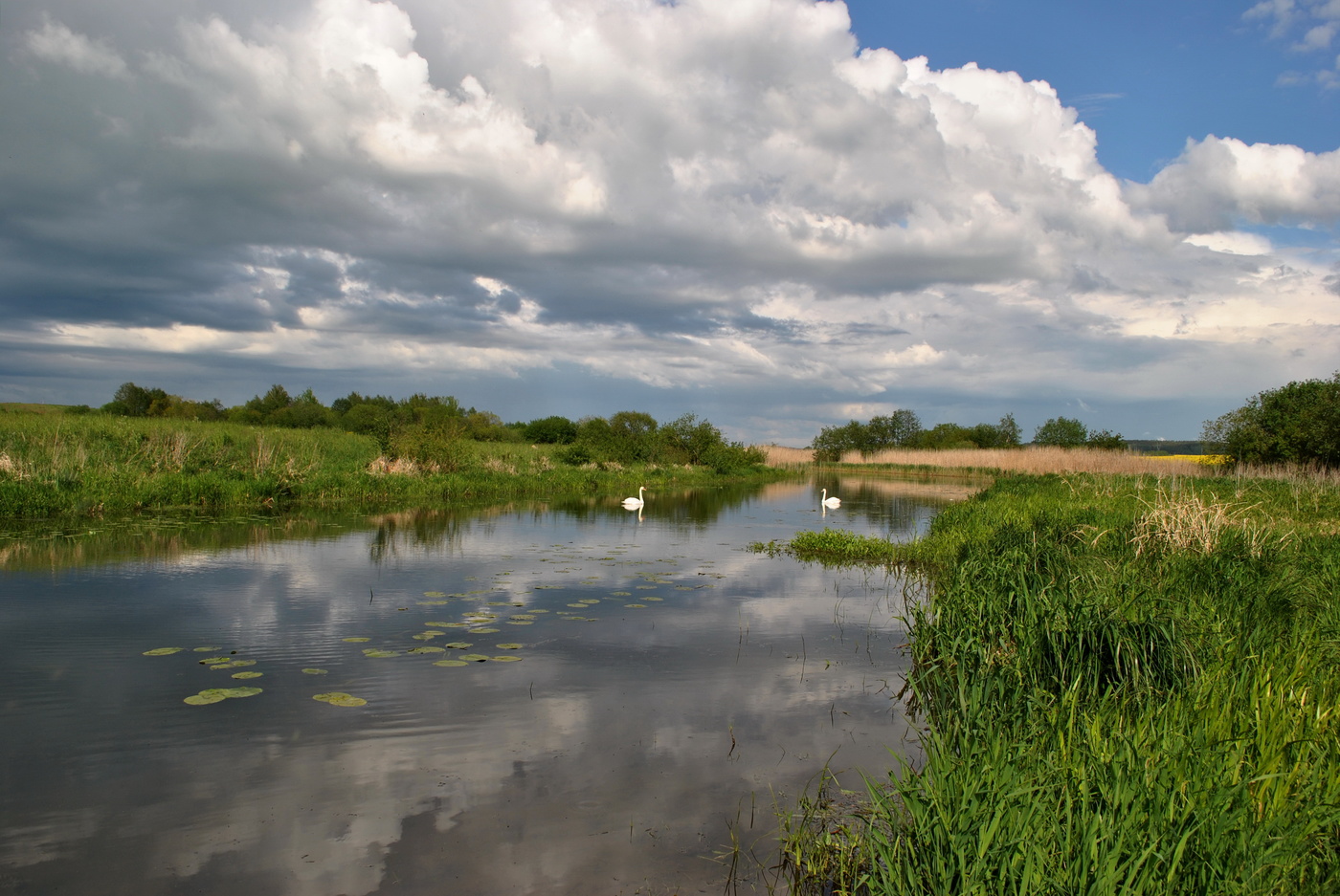 Der Beginn des Sommers