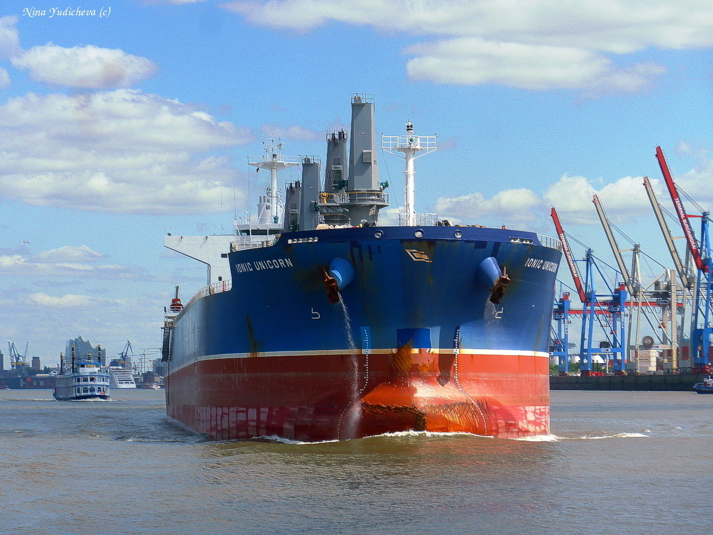 IONIC UNICORN & LOUISIANA*STAR