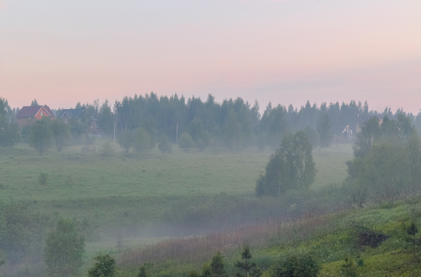 In der nebligen Dunst