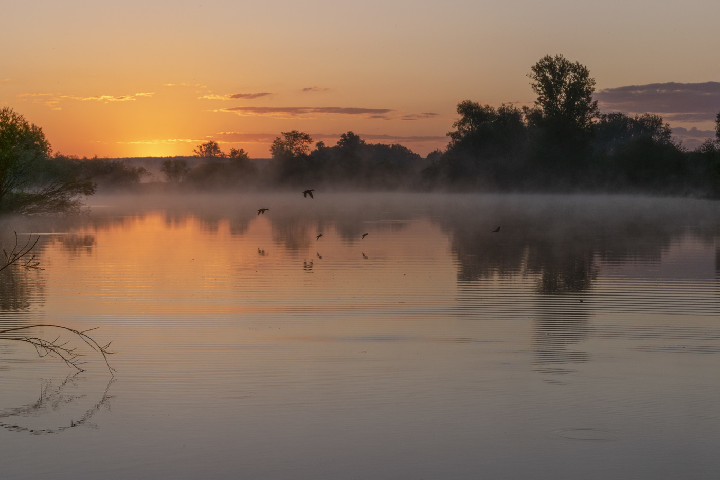 In der Stunde vor Sonnenaufgang