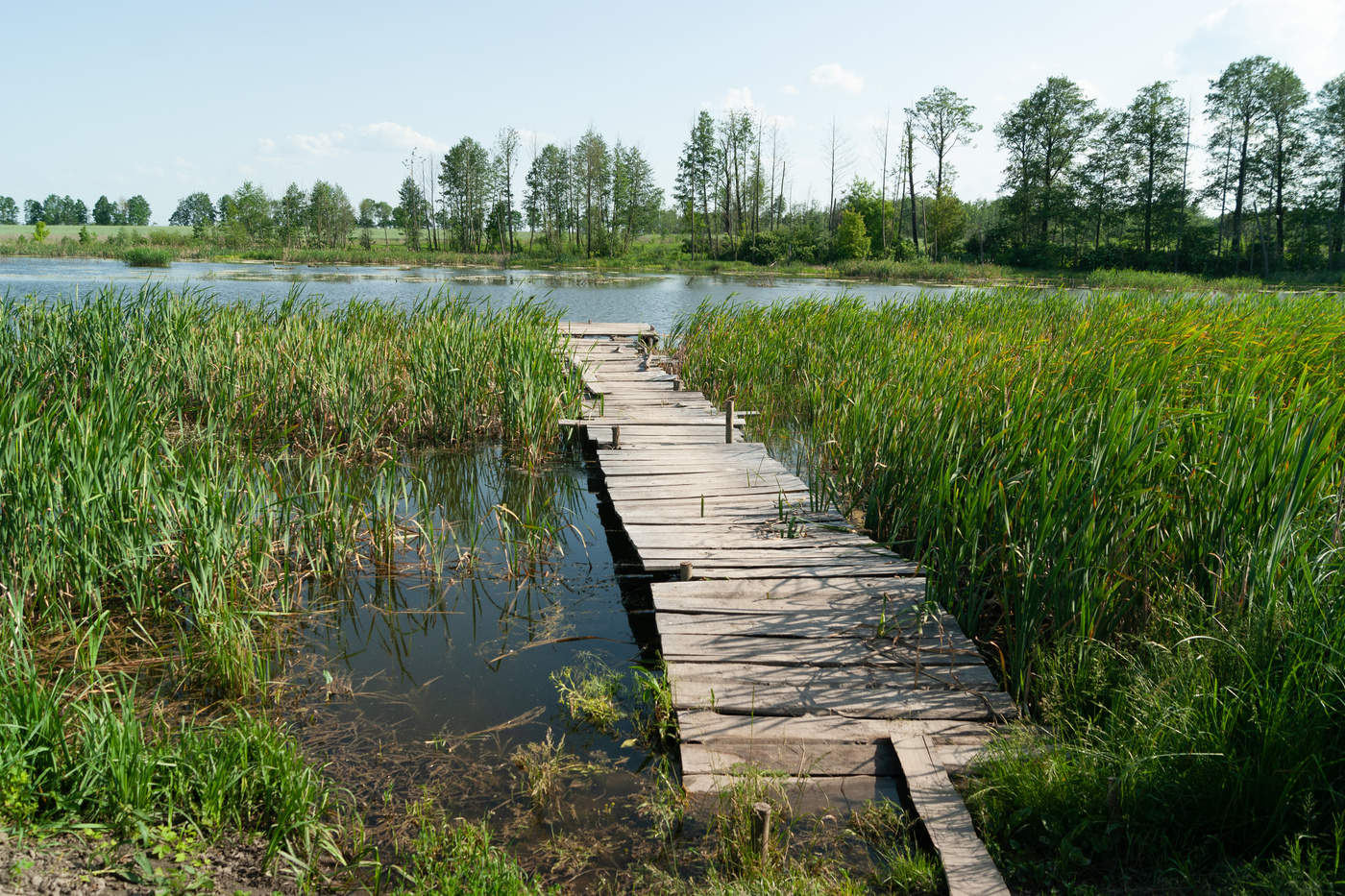 Brücke über den See