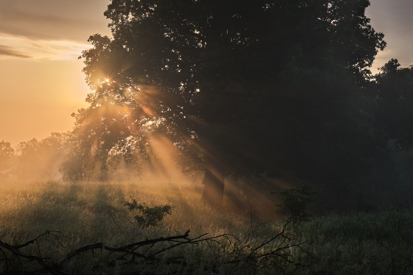 Licht und Dunkelheit