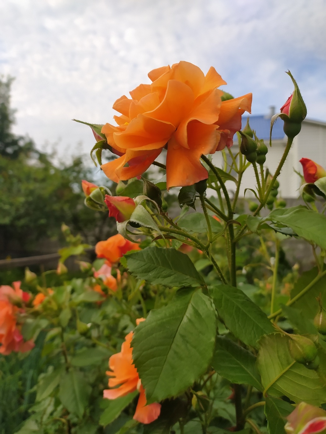 Der Morgen des neuen Tages