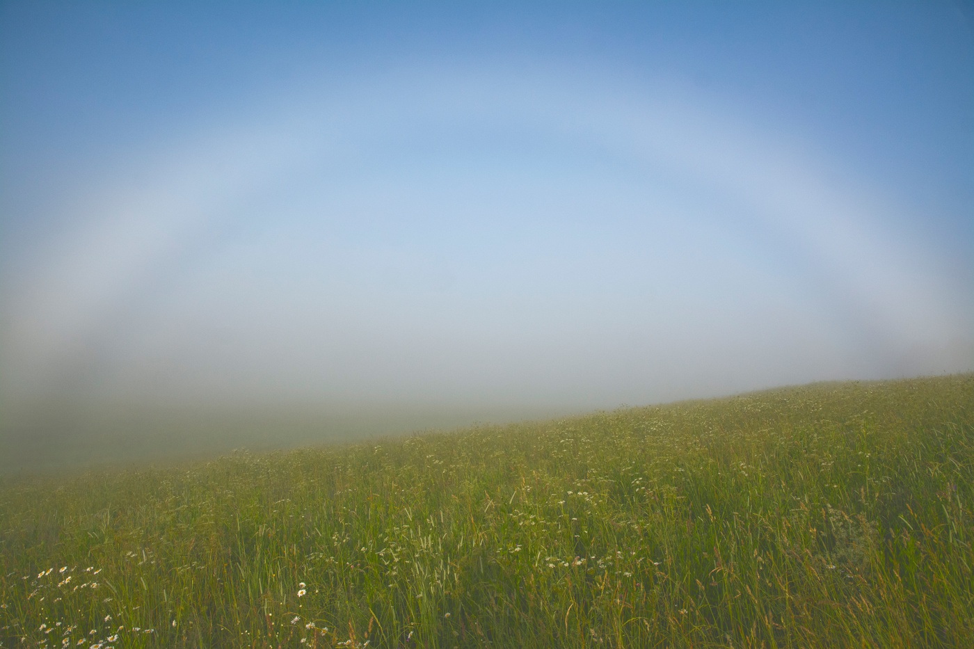 Dort, hinter dem Nebel ...