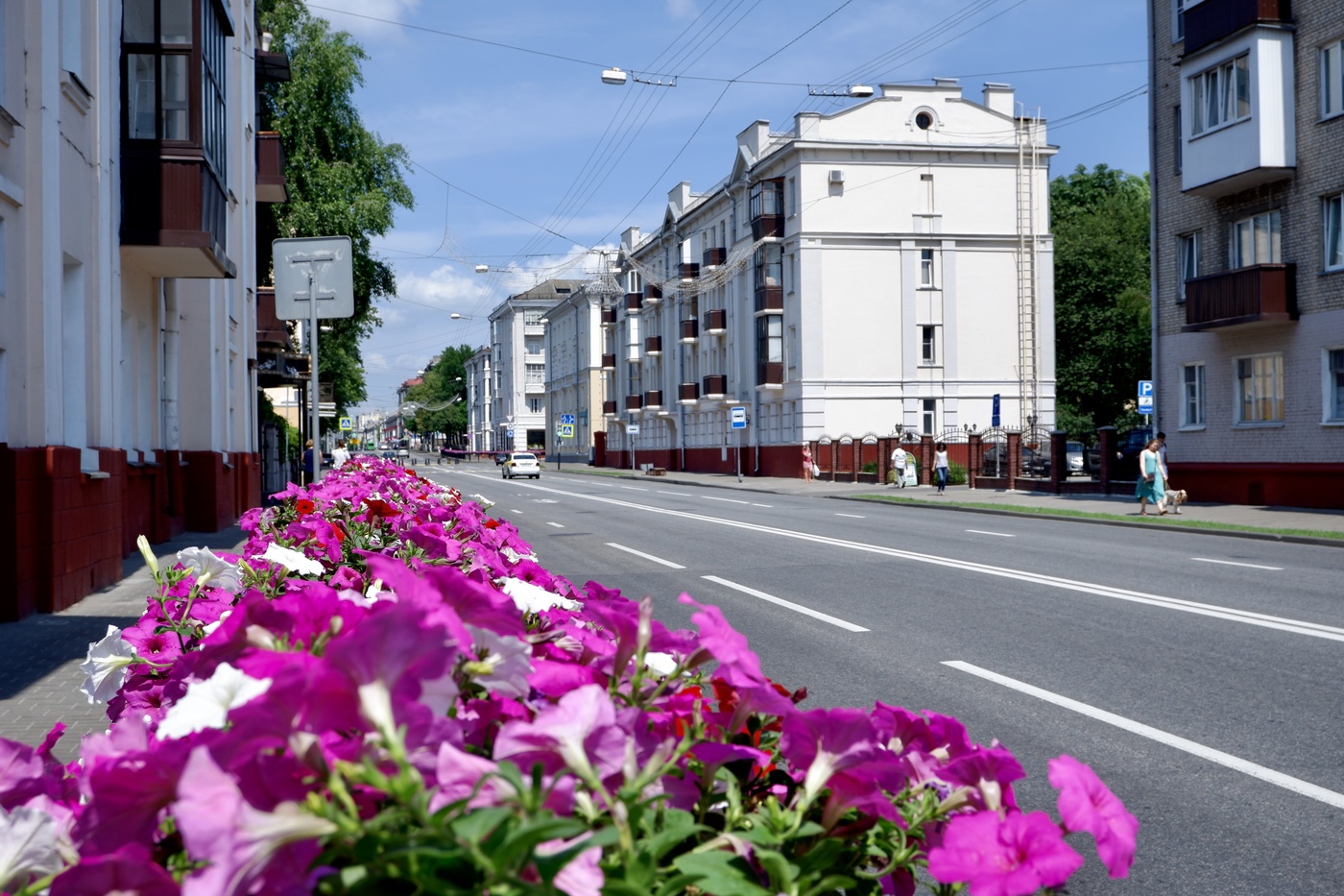 Gomel