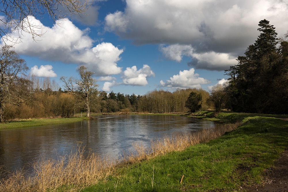 Boyne River, Near Navan Ireland