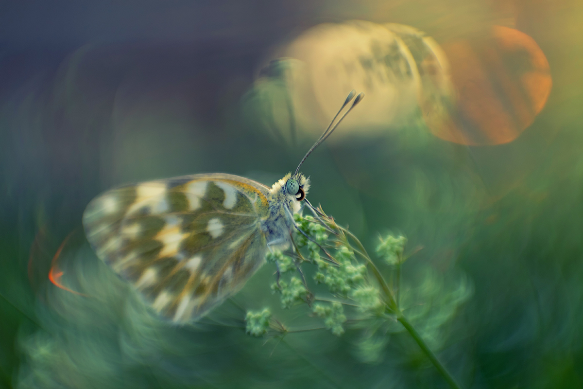 wenn es darum geht, am Abend