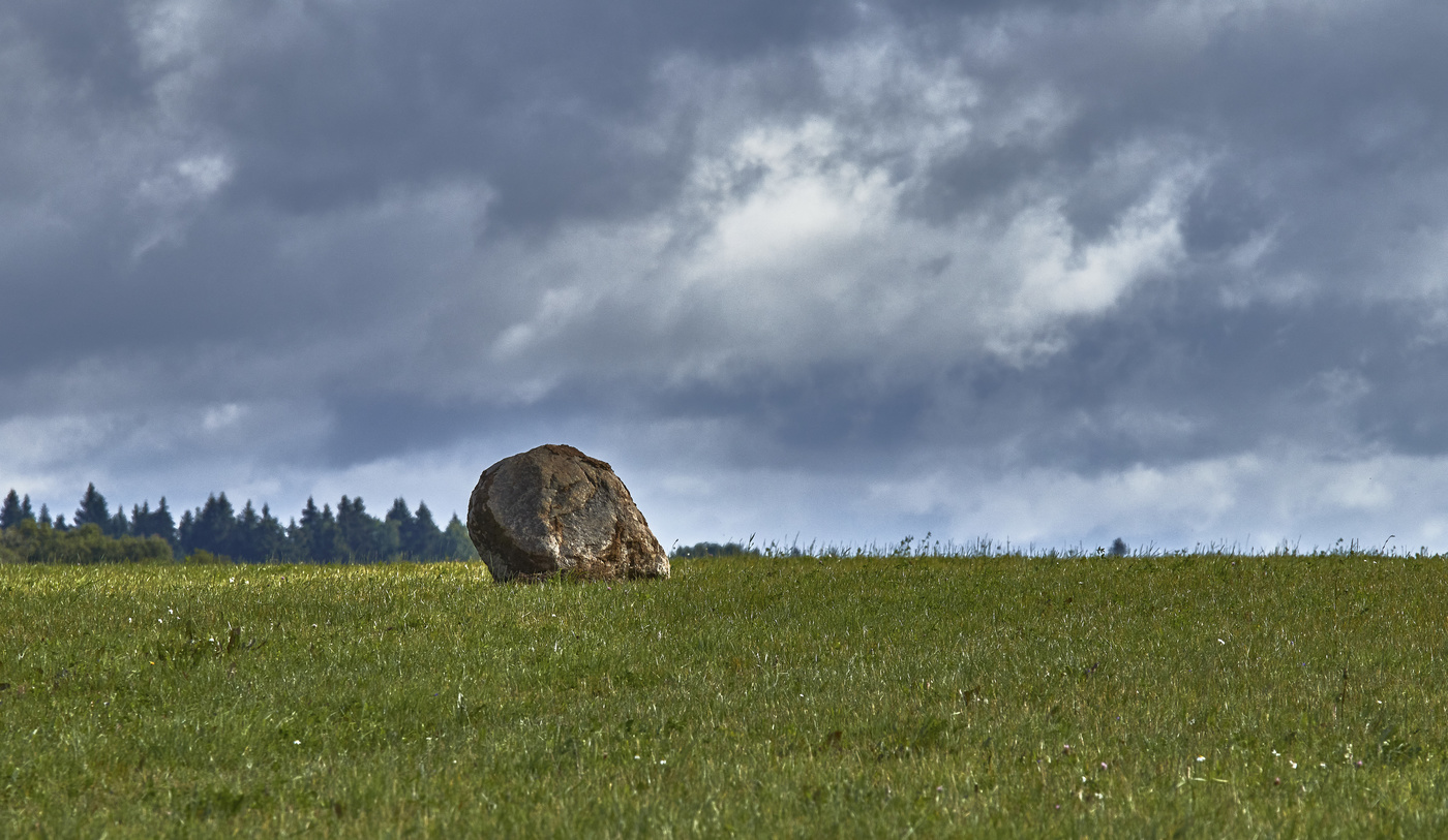Ein auf dem Gebiet ...