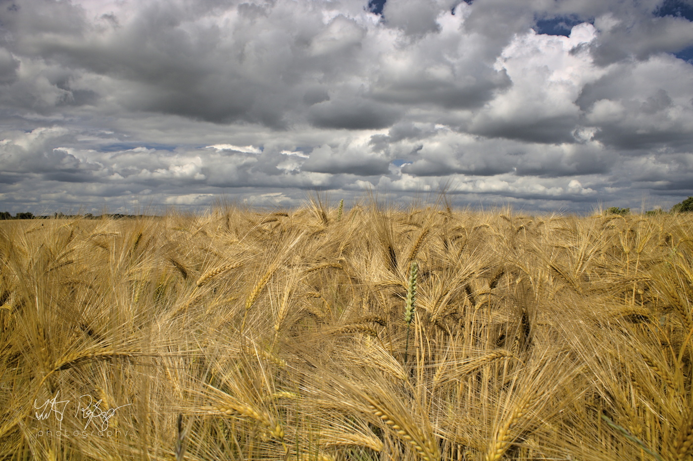 Unser täglich Brot...