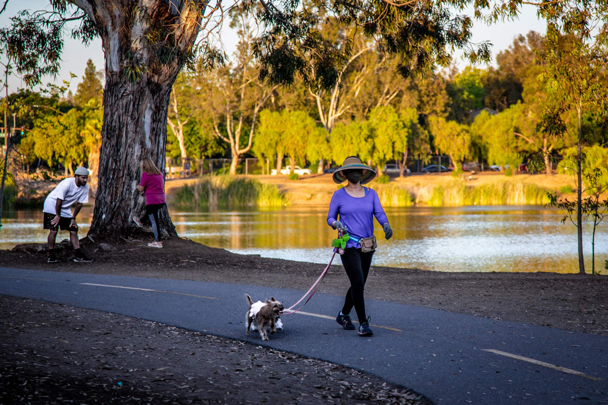 "Die Dame mit dem Hündchen"