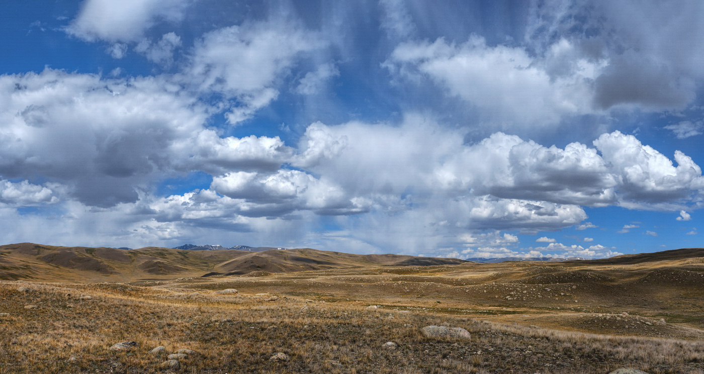 "Clouds walk across the sky ..." (Mountain steppe)