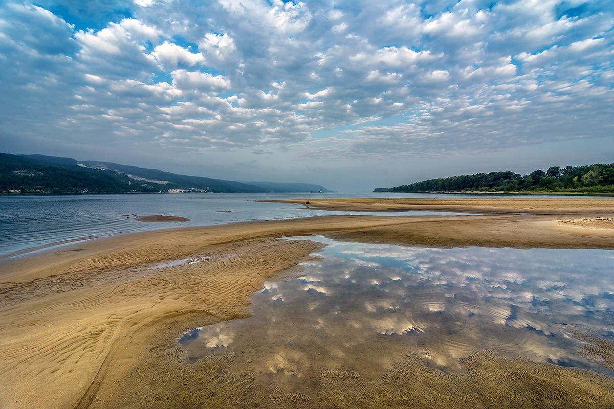 Weißsträhnes Pferde ...
