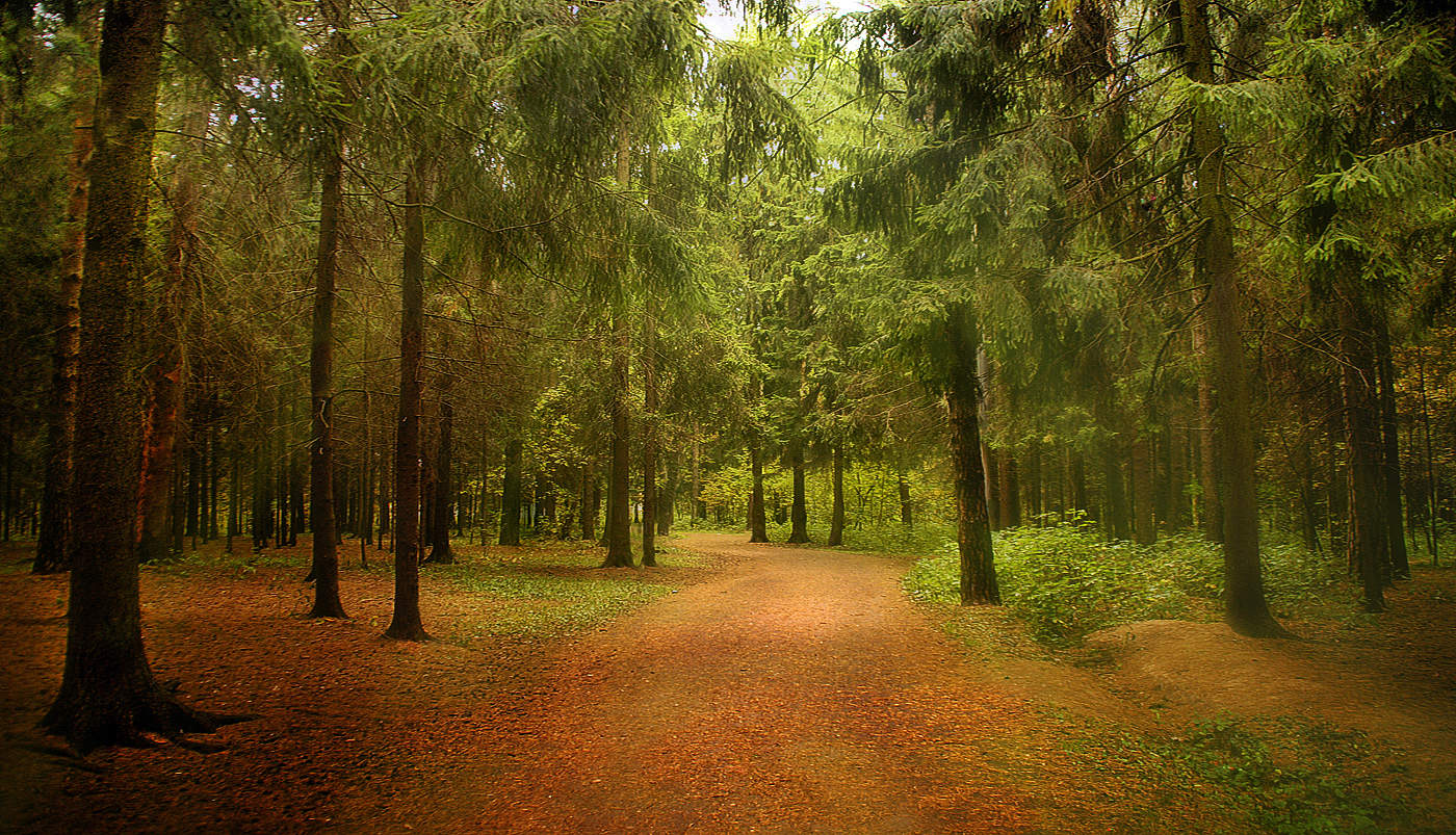 ... Walk in the Park