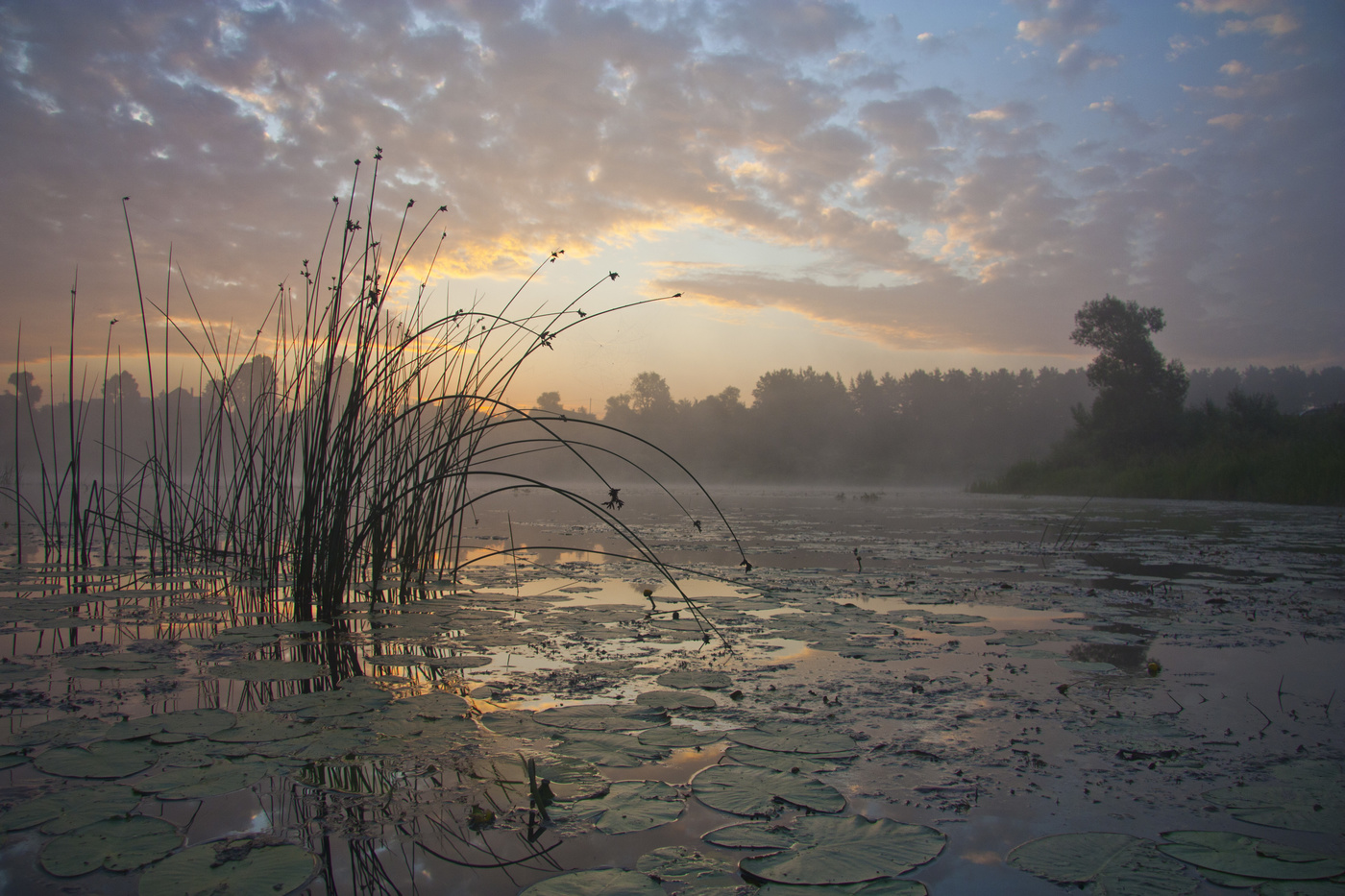 Bei Tagesanbruch am Morgen ...