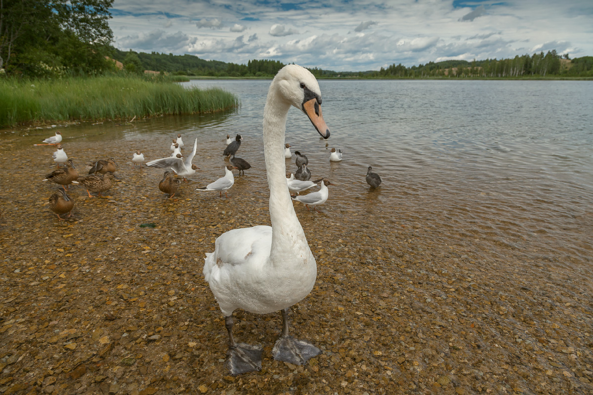 ohne Worte ... oder Sie wissen nicht, wie ich es nennen)))