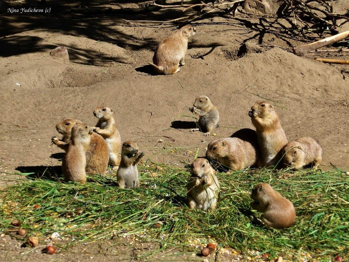 Tierpark Hagenbeck Hamburg