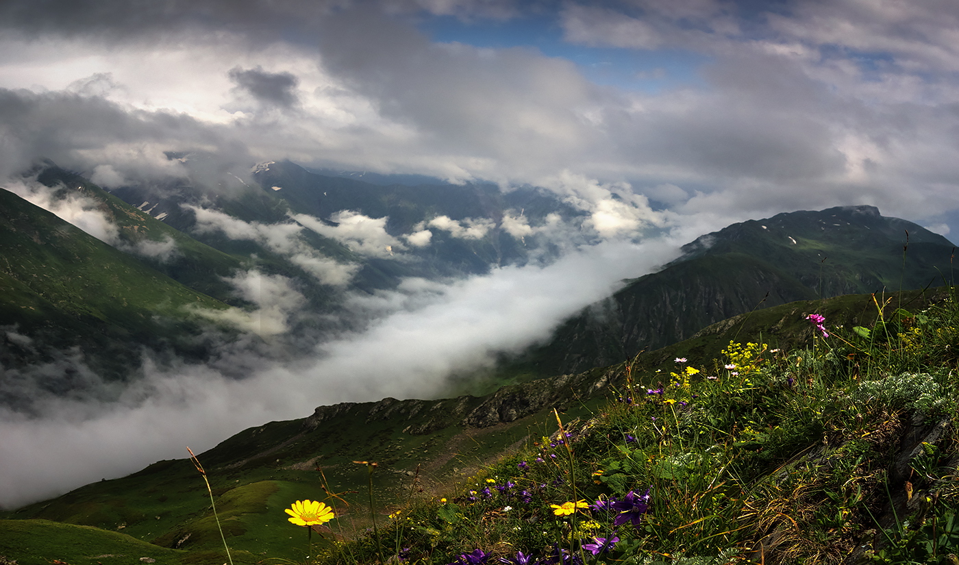 Sommer in den Bergen