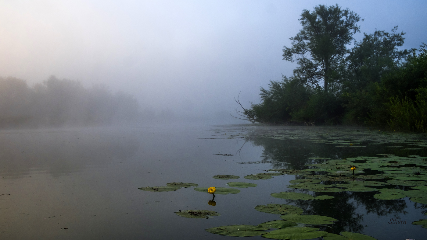 In der Morgendämmerung.