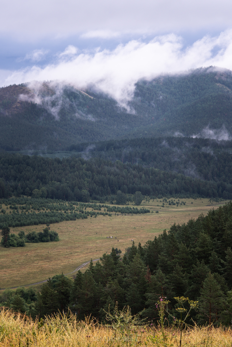 Morgen in den Bergen