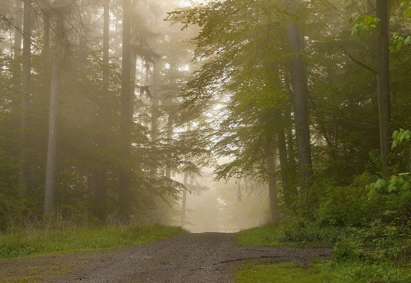 In Vergessenheit ...