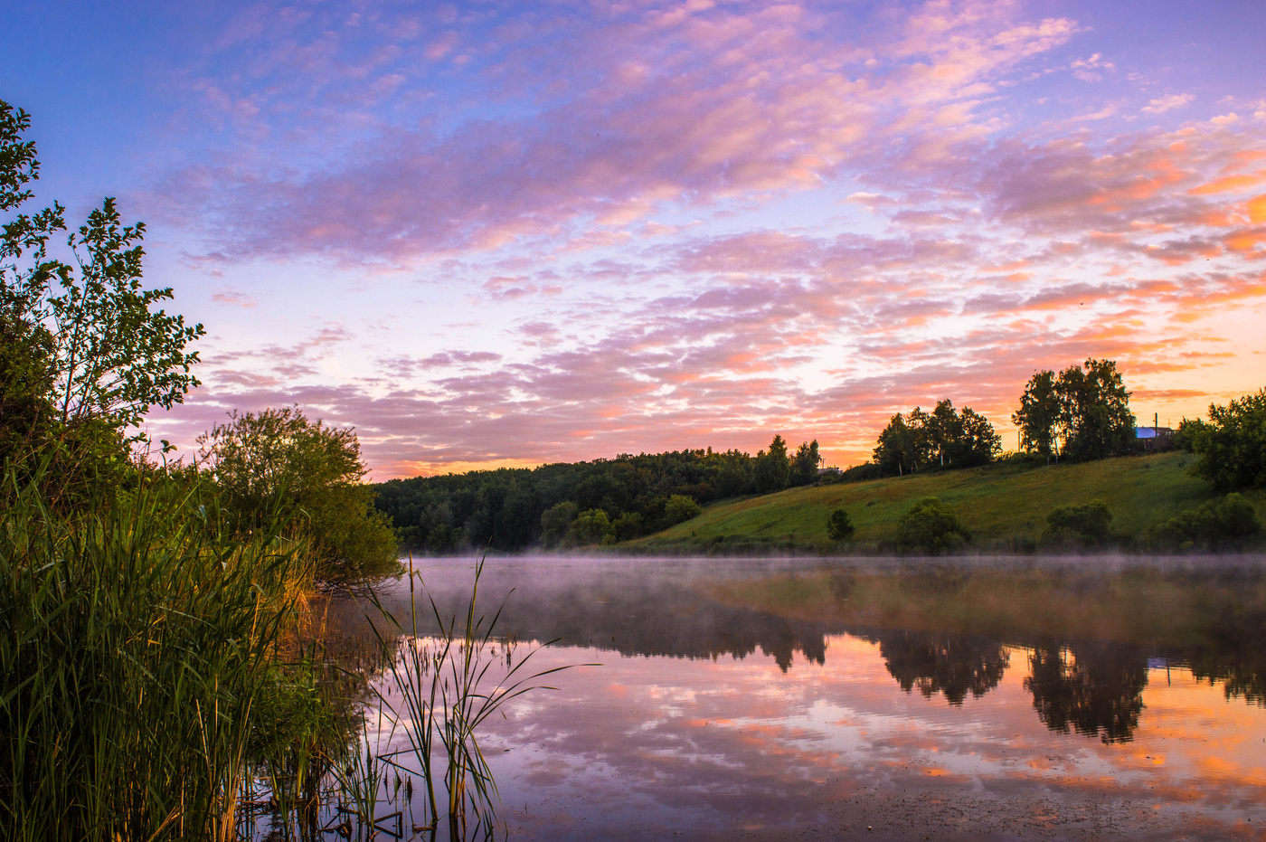 Auf der Morgendämmerung