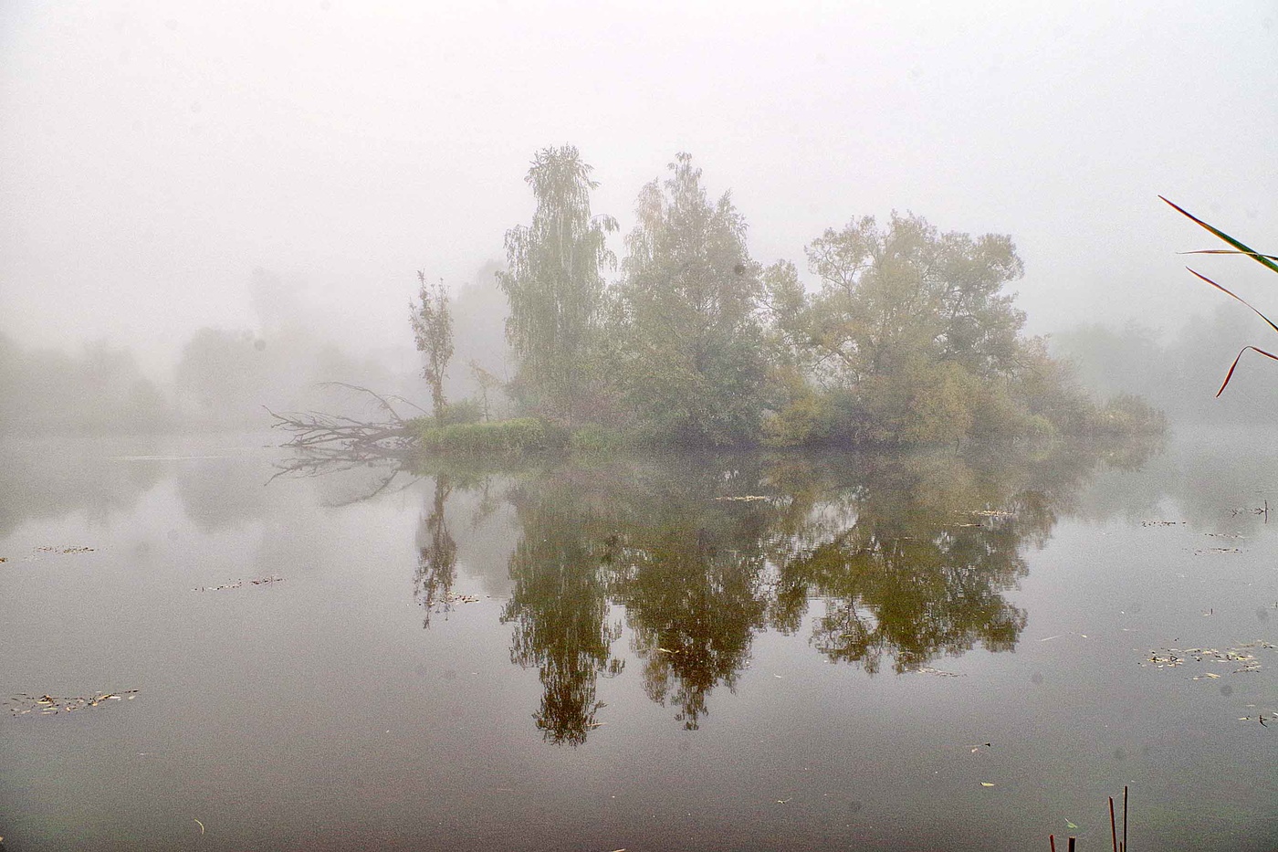 Der Geruch des Herbstes