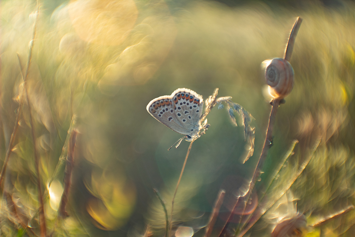 In der Pool mit dem Kopf