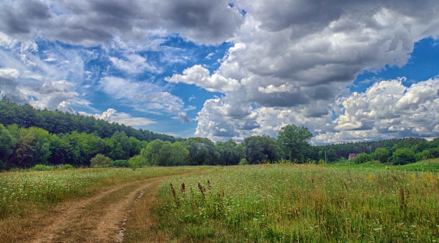 Die Straße im Sommer