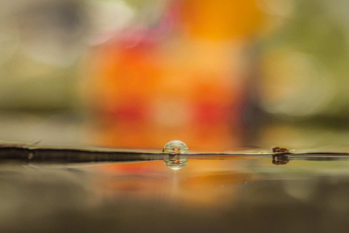 La gota en un desierto.