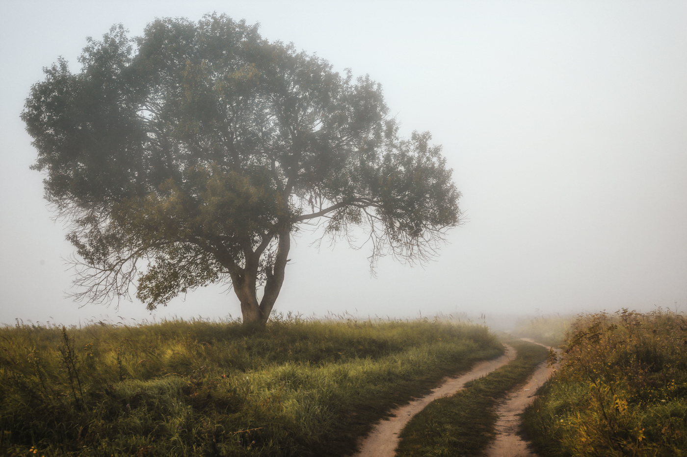 Der Geruch des Herbstes