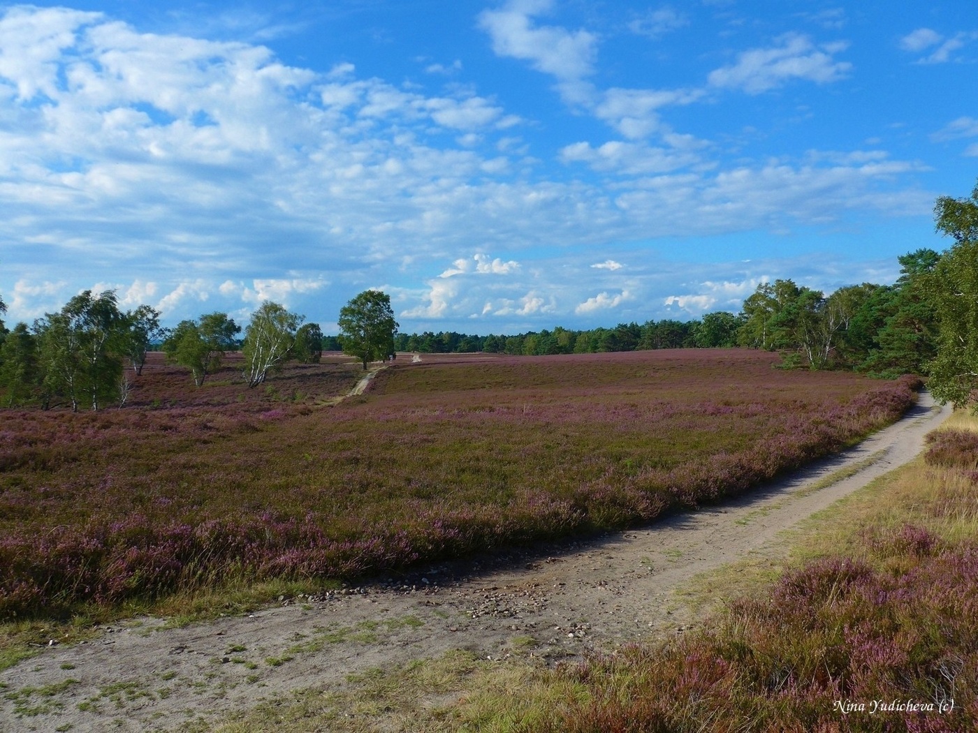 Fischbeker Heide Hamburg