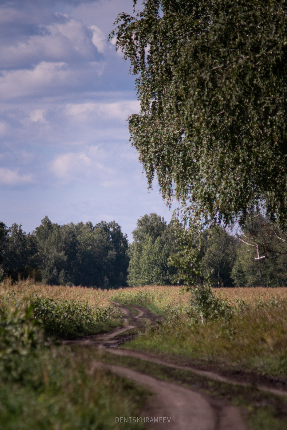 Zwischen den Feldern